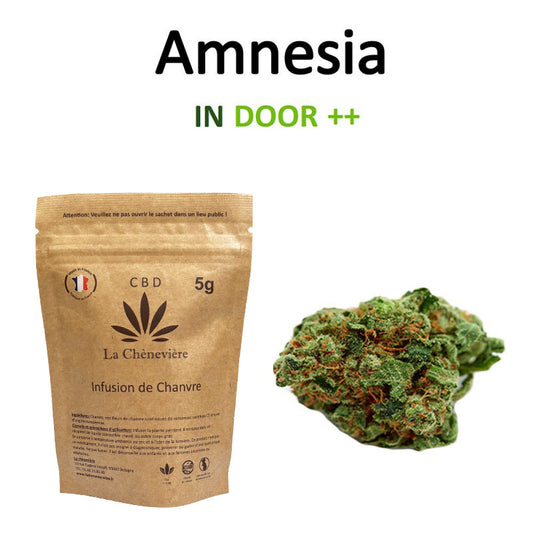 AMNESIA HAZE FLEUR - LA CHÈNEVIÈRE CBD